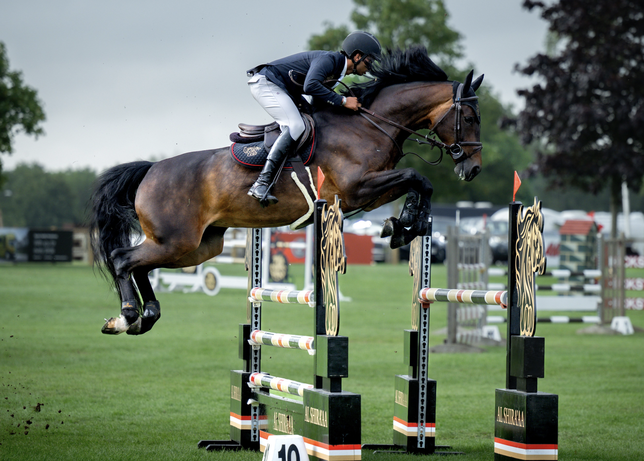 Screenshot 2025-08-03 at 17.53.19