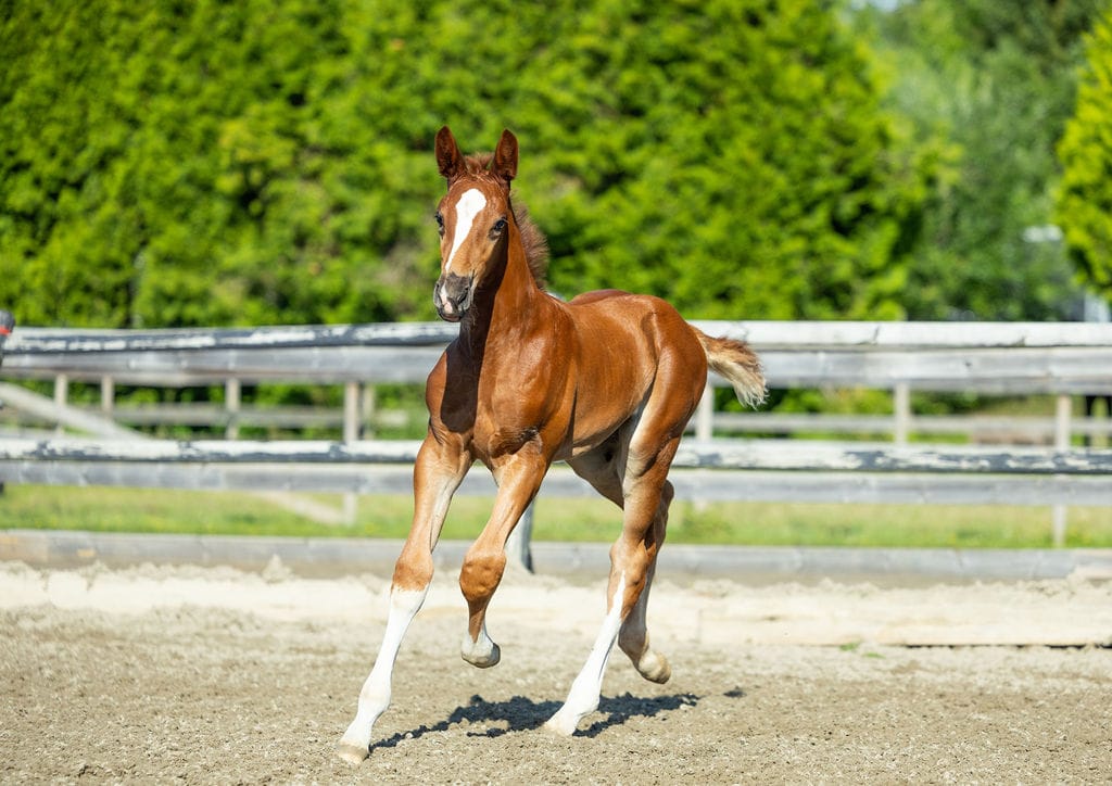 WhatsApp Image 2025-07-12 at 07.03.07